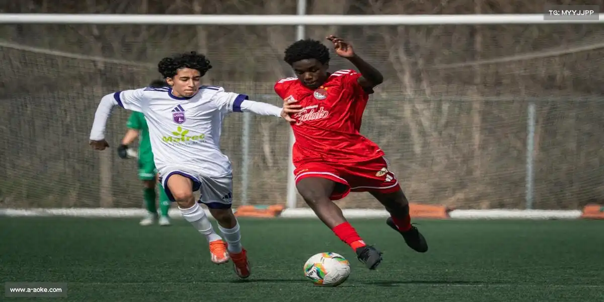 澳客官方网——🧗‍♂️🌄 抱石动态，云豹扑崖！